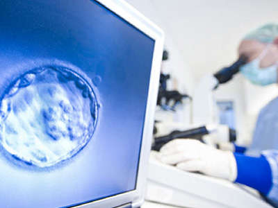 案例